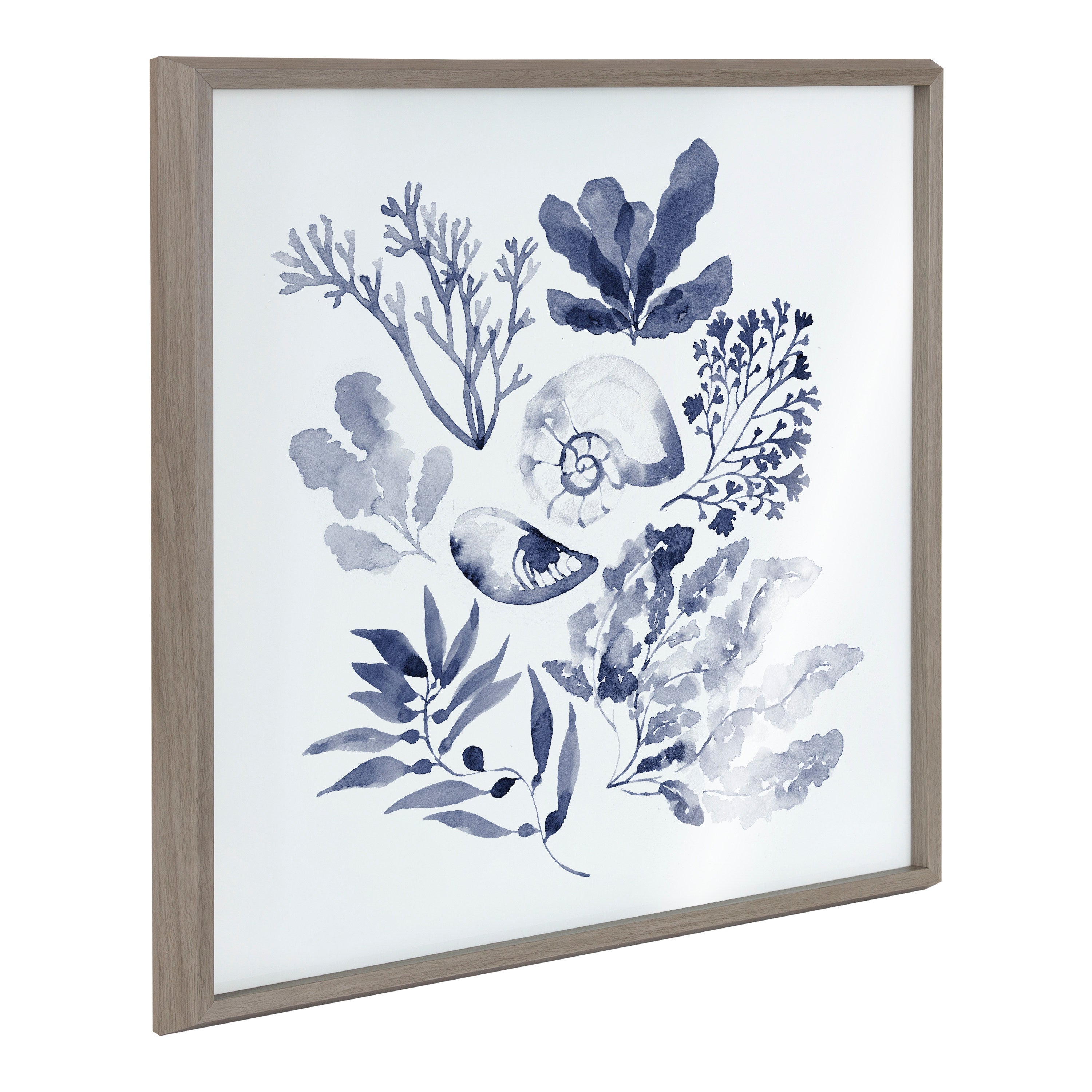 Blake Indigo Shells Framed Printed Acrylic by Sara Berrenson