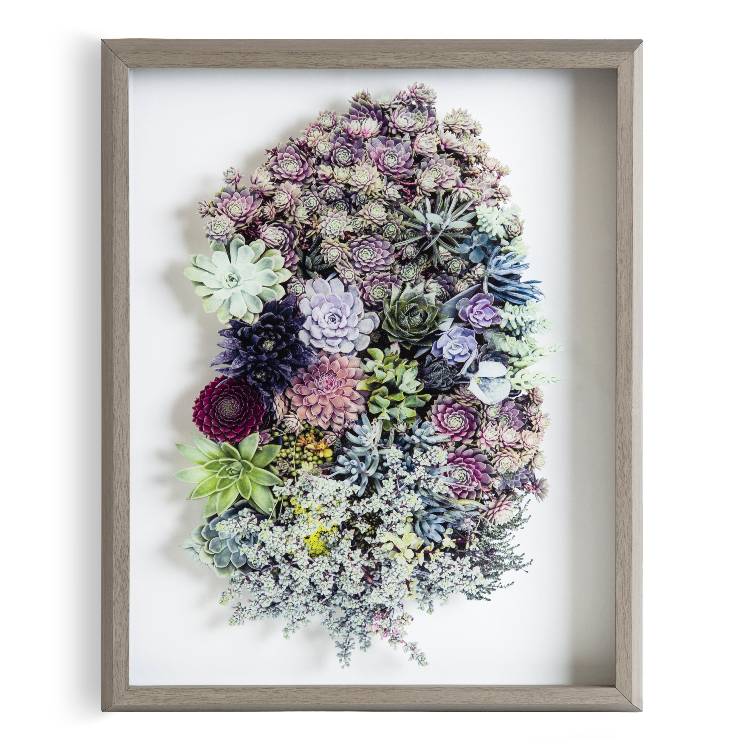 Blake Colony 1 Framed Printed Glass by F2 Images