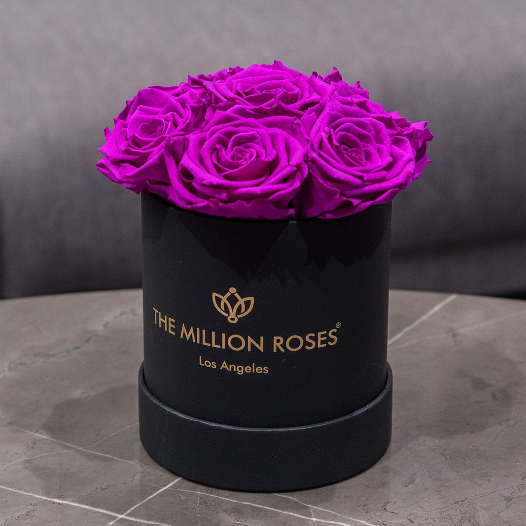 Essence Black Box | Bright Purple Roses