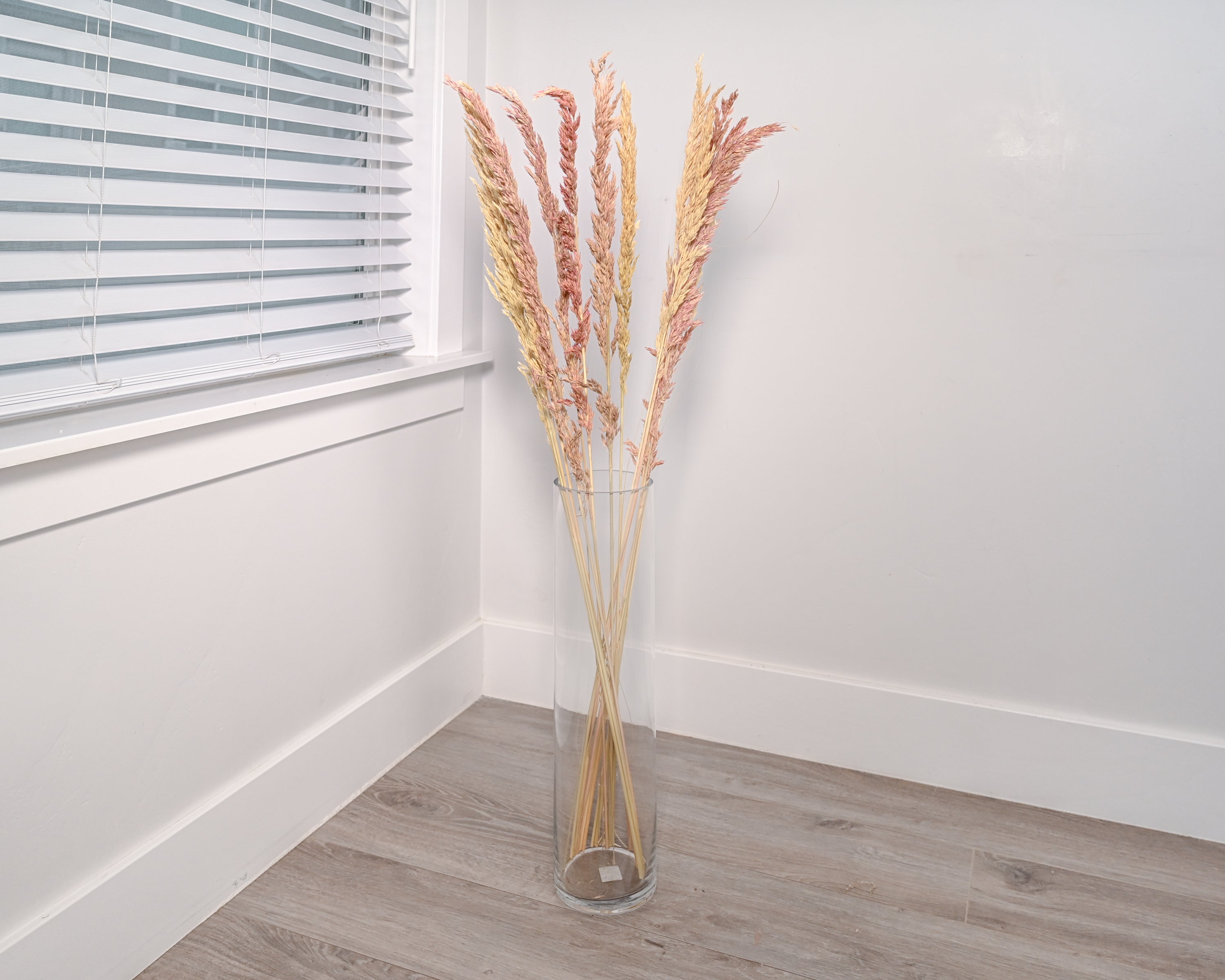 Dried Wild Oats - Decorative | 18 Bunches | Natural