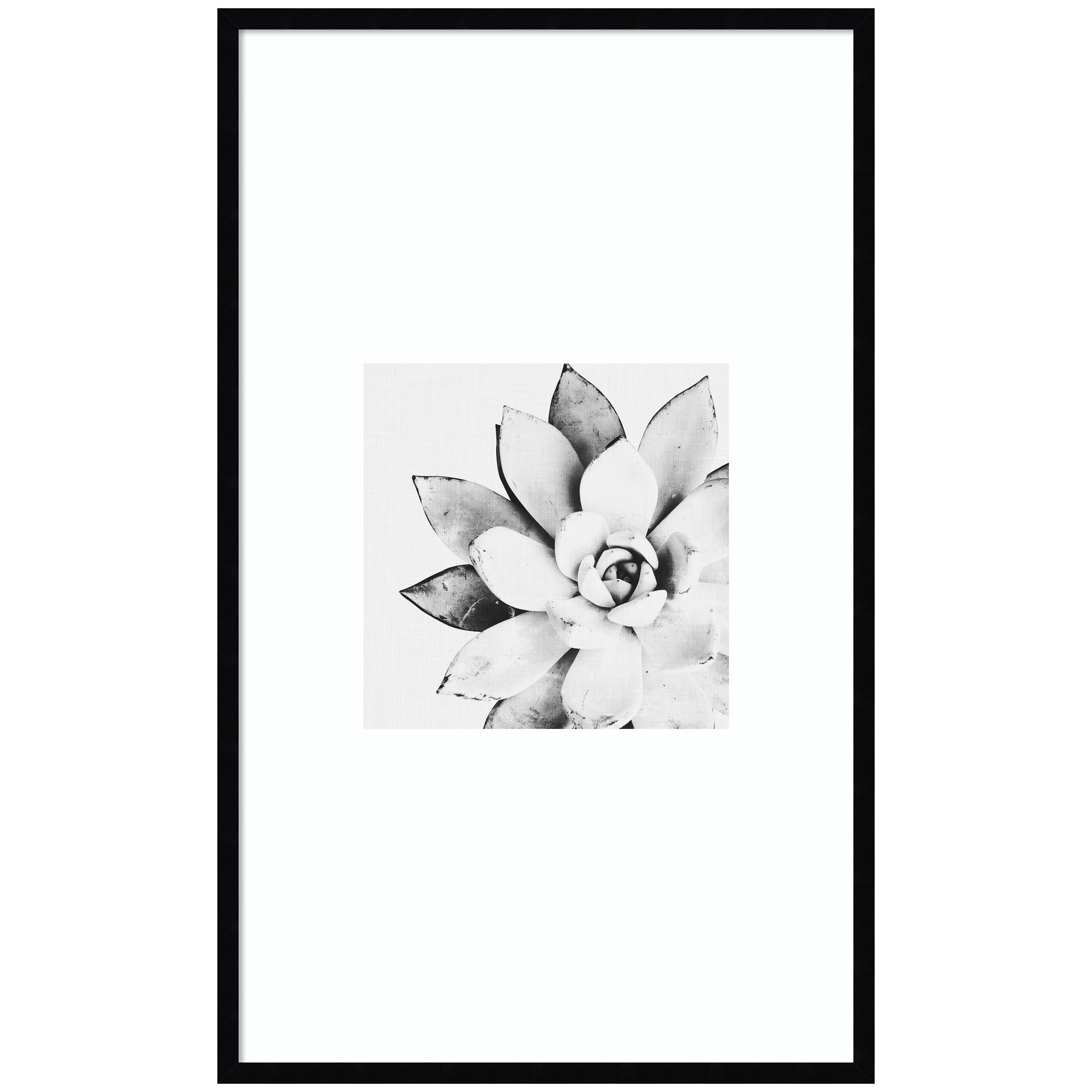 Modern Succulent by Tai Prints Framed Wall Art Print
