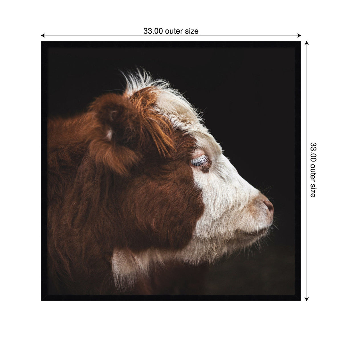 Cow Profile by Emiko and Mark Franzen F2 Images Framed Wall Art Print