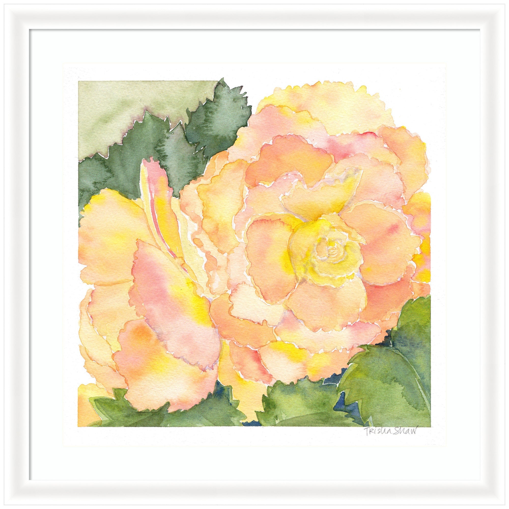 Framed Art Orange Pink Abstract Begonia by Patricia Shaw