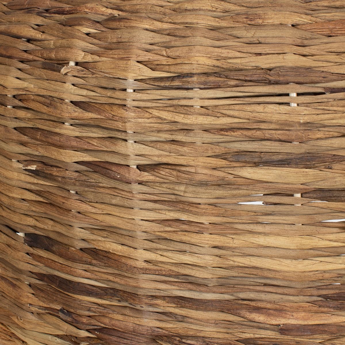 Tauranga 5-Light Pendant