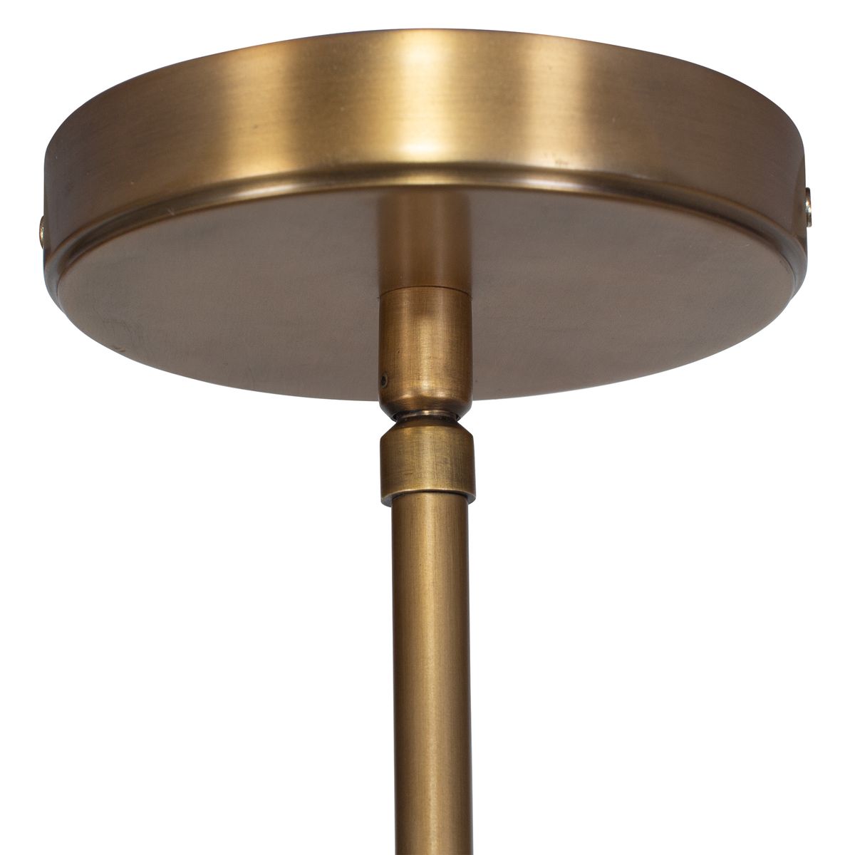 Gaia 1-Light Pendant