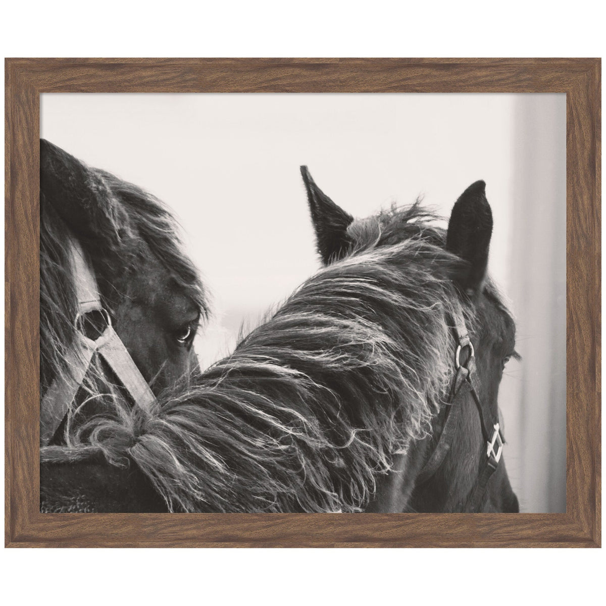Black Horses by Emiko and Mark Franzen F2 Images Framed Wall Art Print