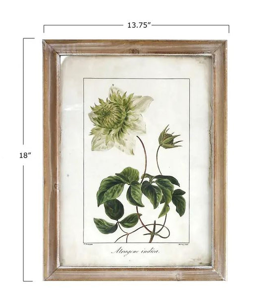 Framed Floral Prints