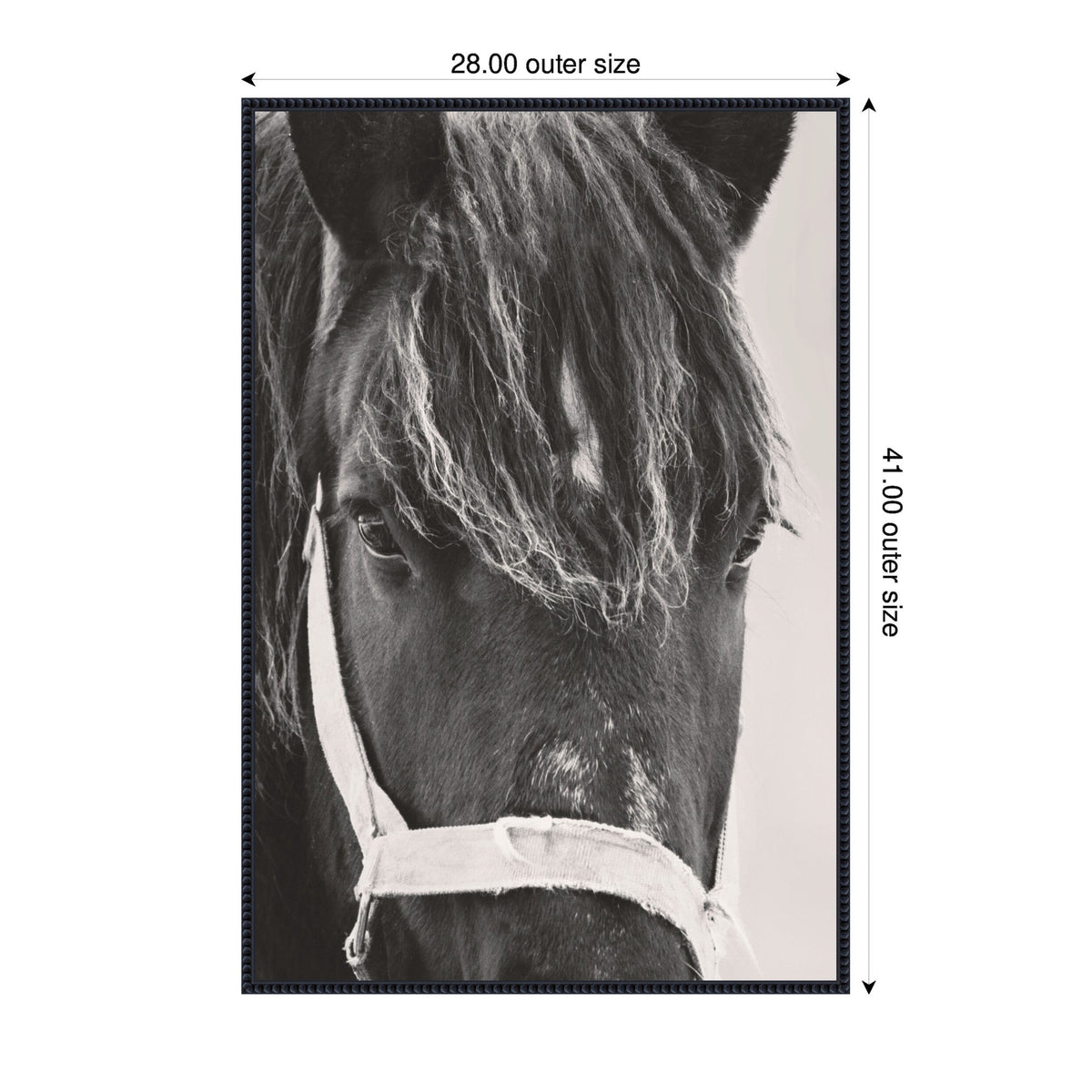 Black Horse by Emiko and Mark Franzen F2 Images Framed Canvas Wall Art Print
