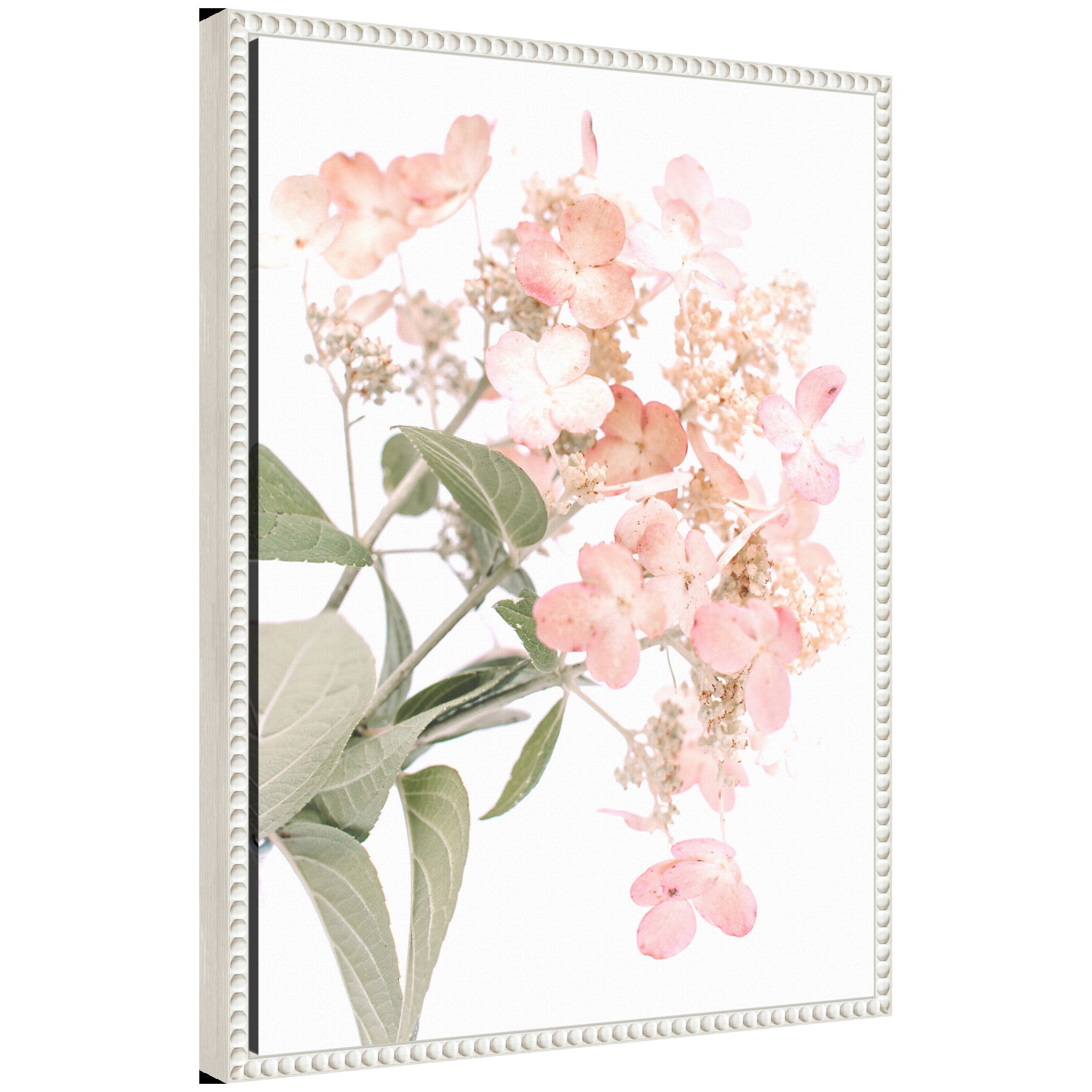 Sylvie Hydrangea Framed Canvas by Alicia Abla