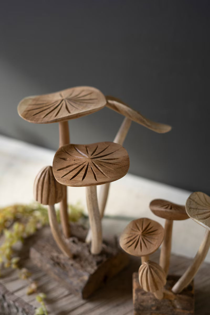 Mushroom Clusters