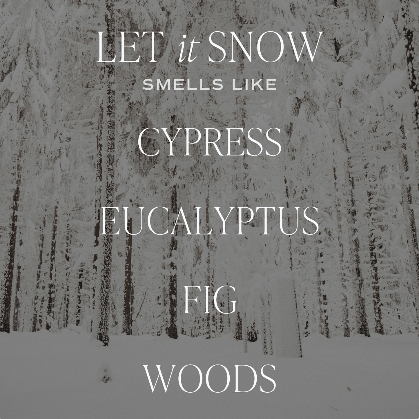 Let It Snow 15 oz Soy Candle, Matte Jar