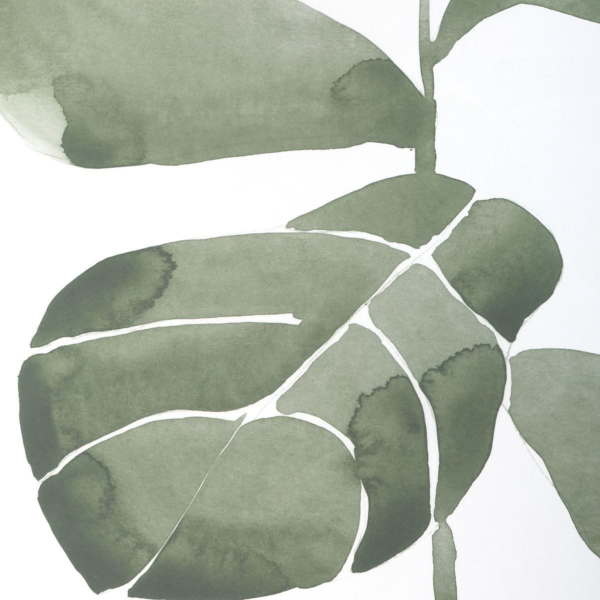 Fiddle Head Leaf Framed Prints - Set of 4