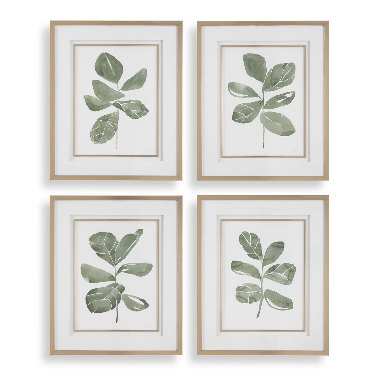 Fiddle Head Leaf Framed Prints - Set of 4