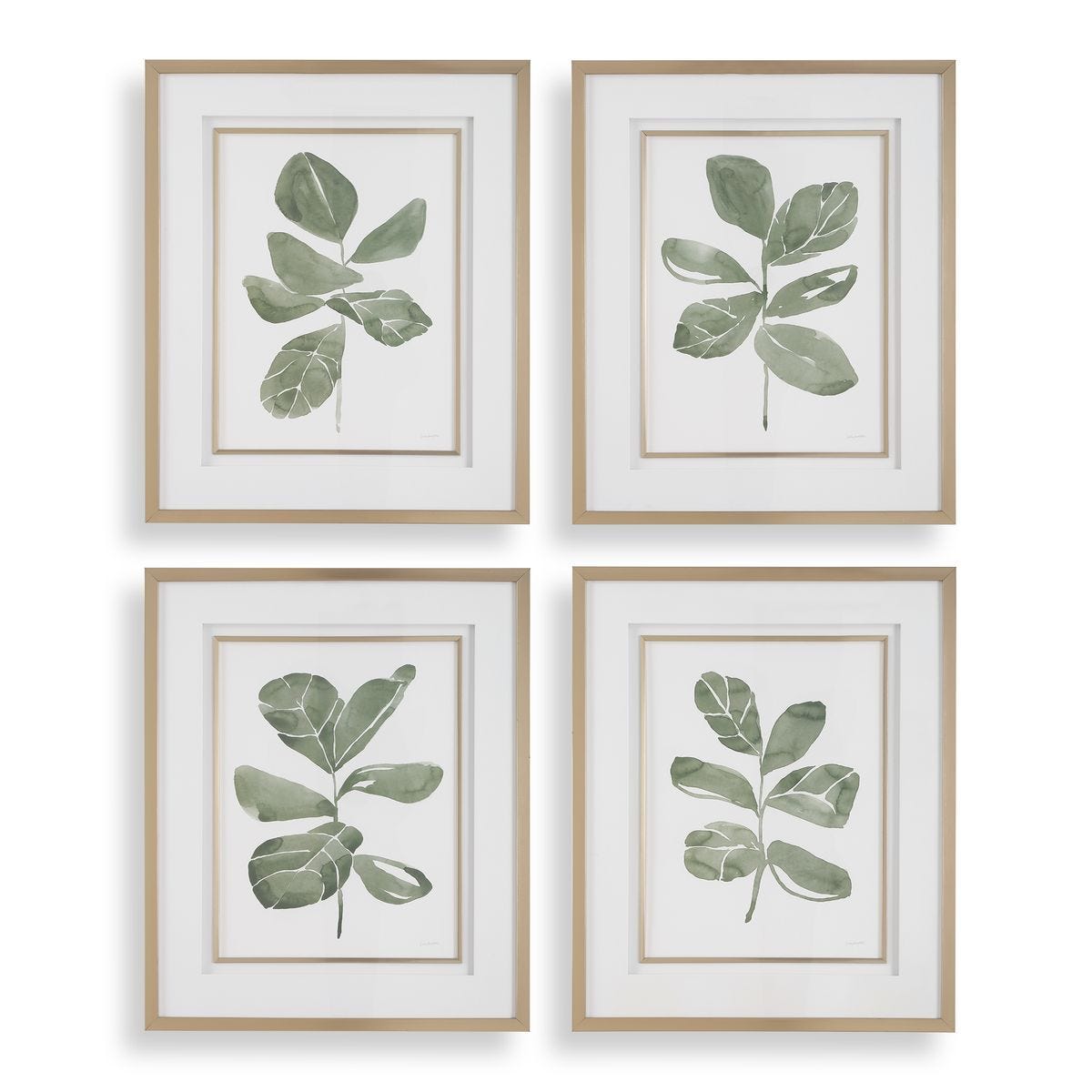 Fiddle Head Leaf Framed Prints - Set of 4