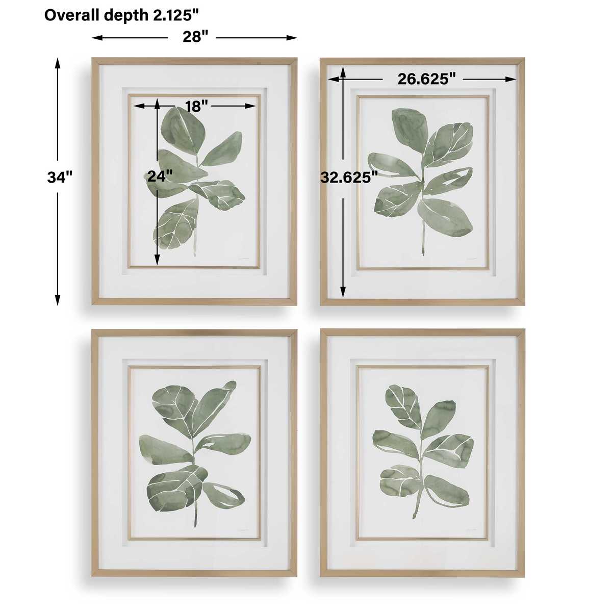 Fiddle Head Leaf Framed Prints - Set of 4