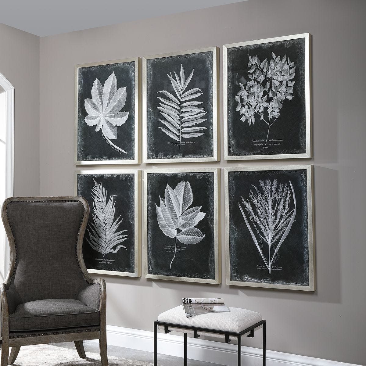 Foliage Framed Prints - Set of 6