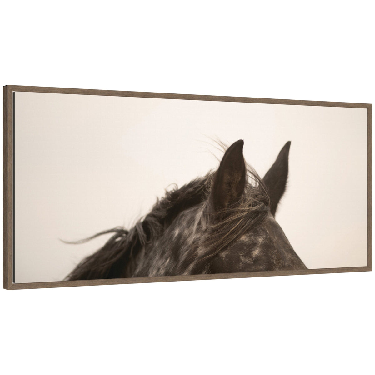Horse Ears Panel by Crystal Lynn Collins Framed Canvas Wall Art Print