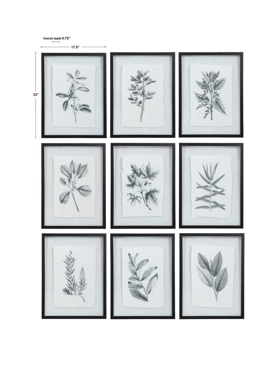 Farmhouse Florals Framed Prints - Set of 9