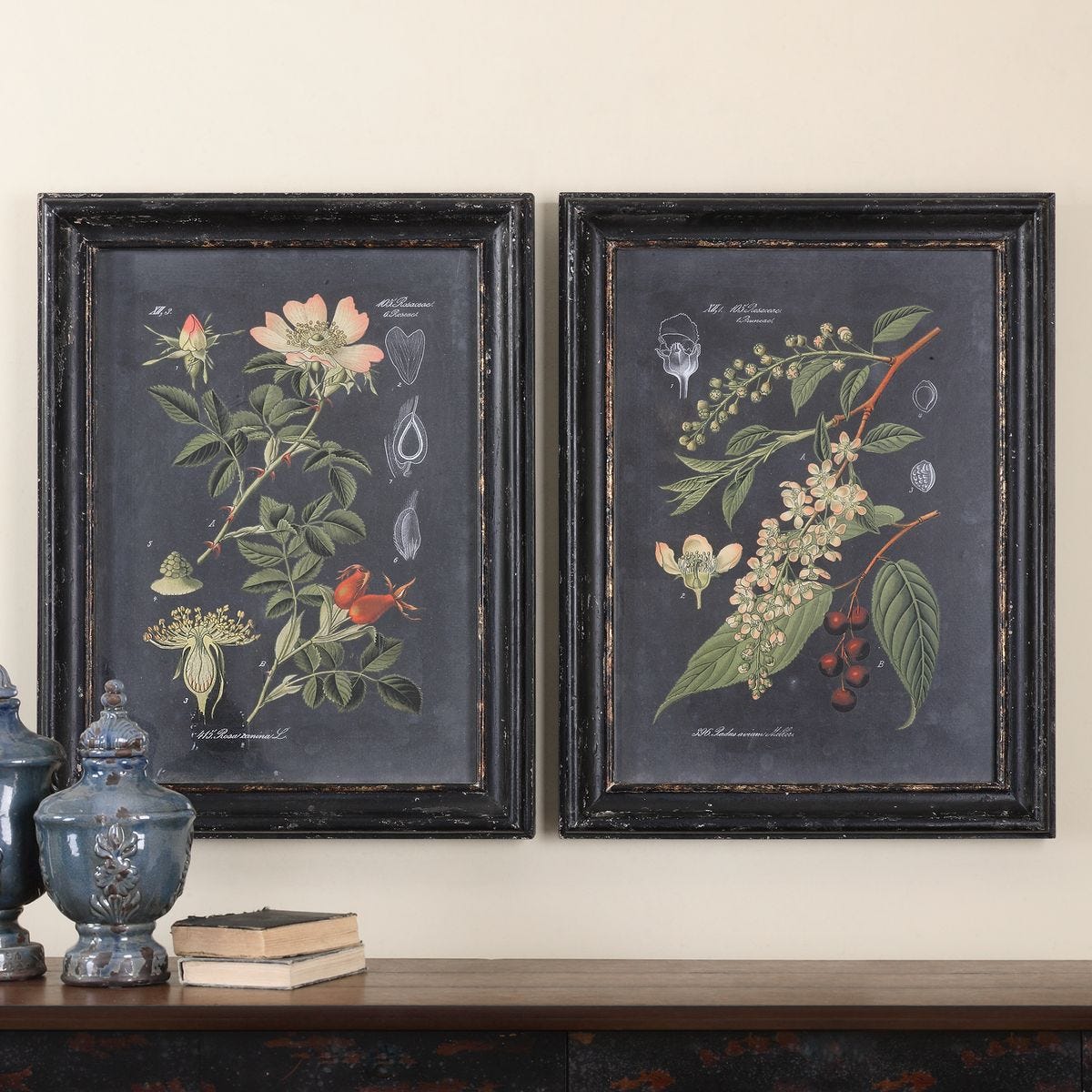 Midnight Botanicals Framed Prints - Set of 2