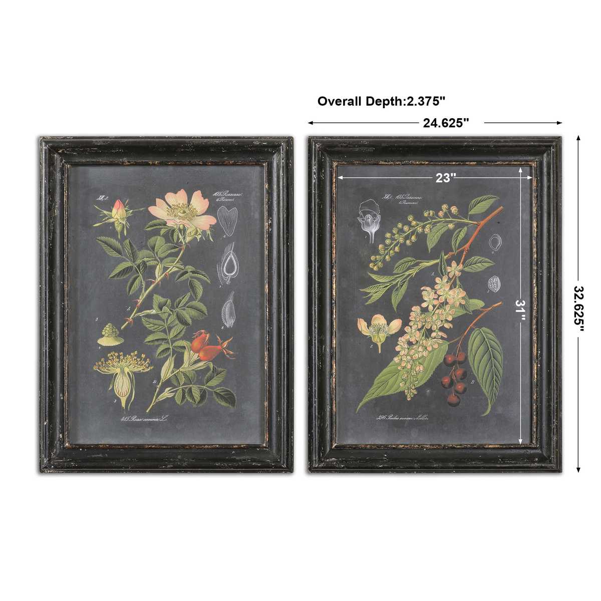 Midnight Botanicals Framed Prints - Set of 2