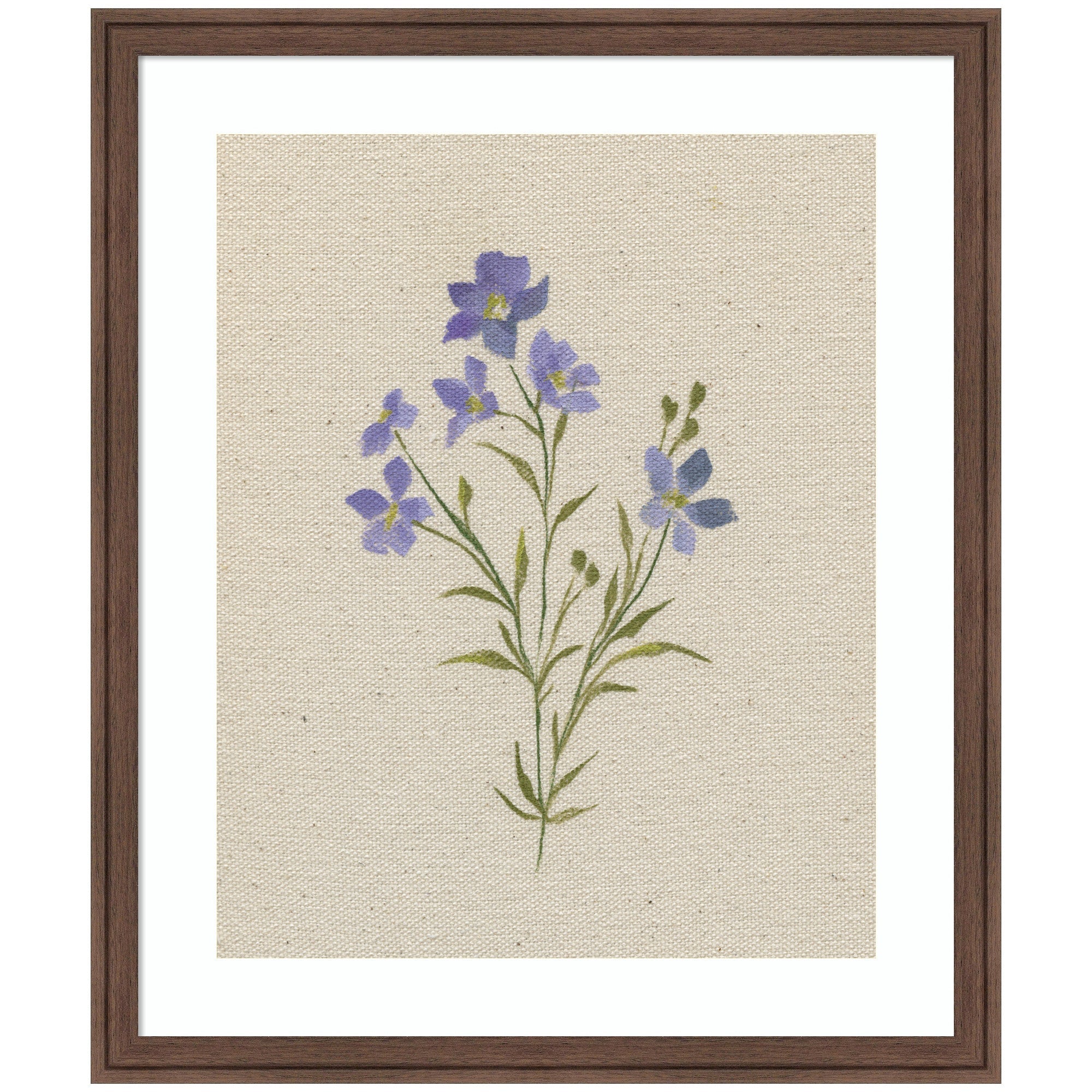 AQ Simple Bloom No 2 by Annie Quigley Framed Wall Art Print