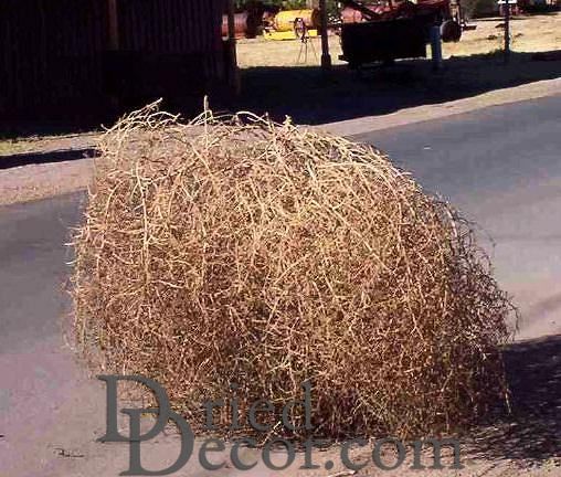 Large Country Tumbleweed | Natural