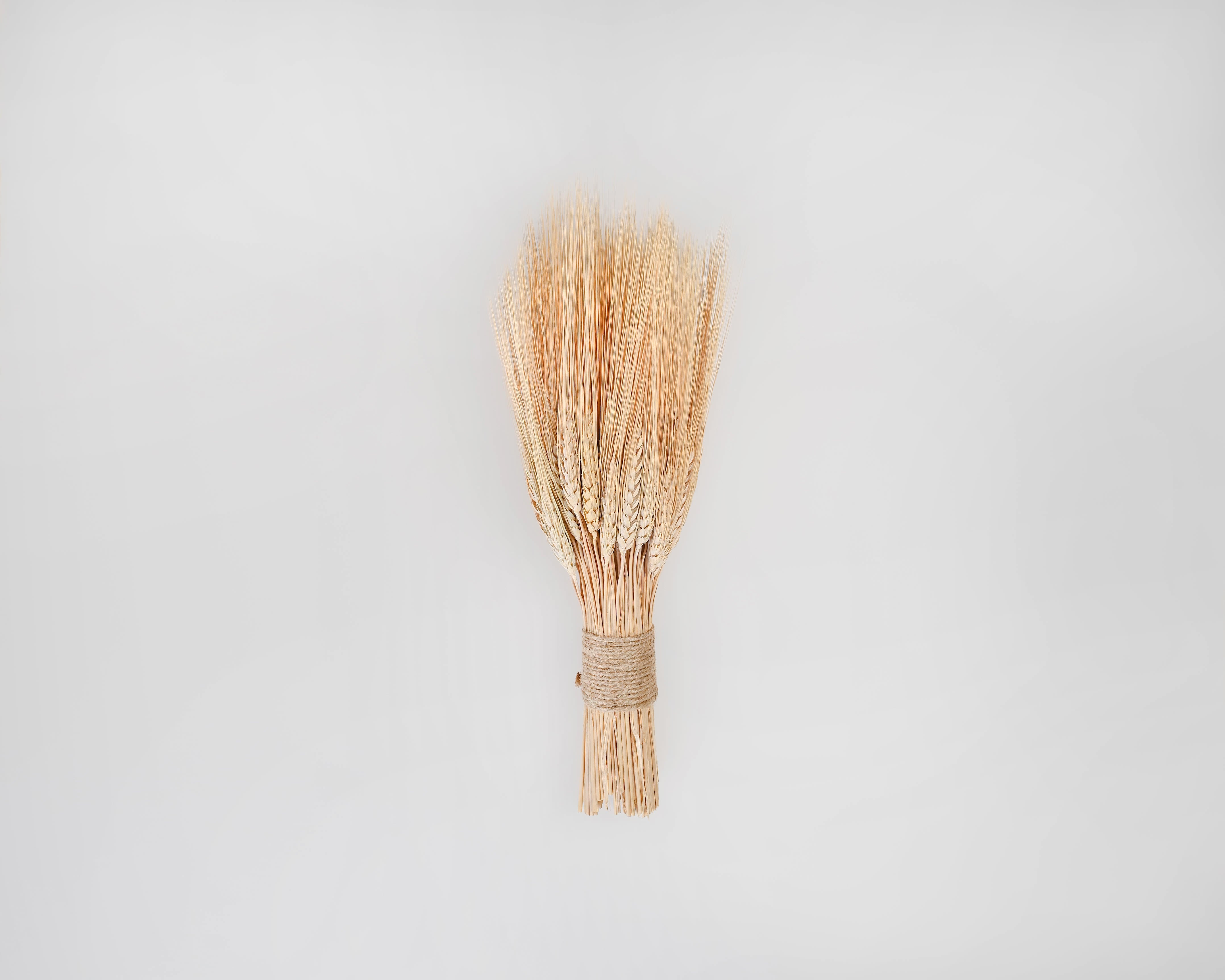 Triticum Wheat Stacks, Small - Grande Size