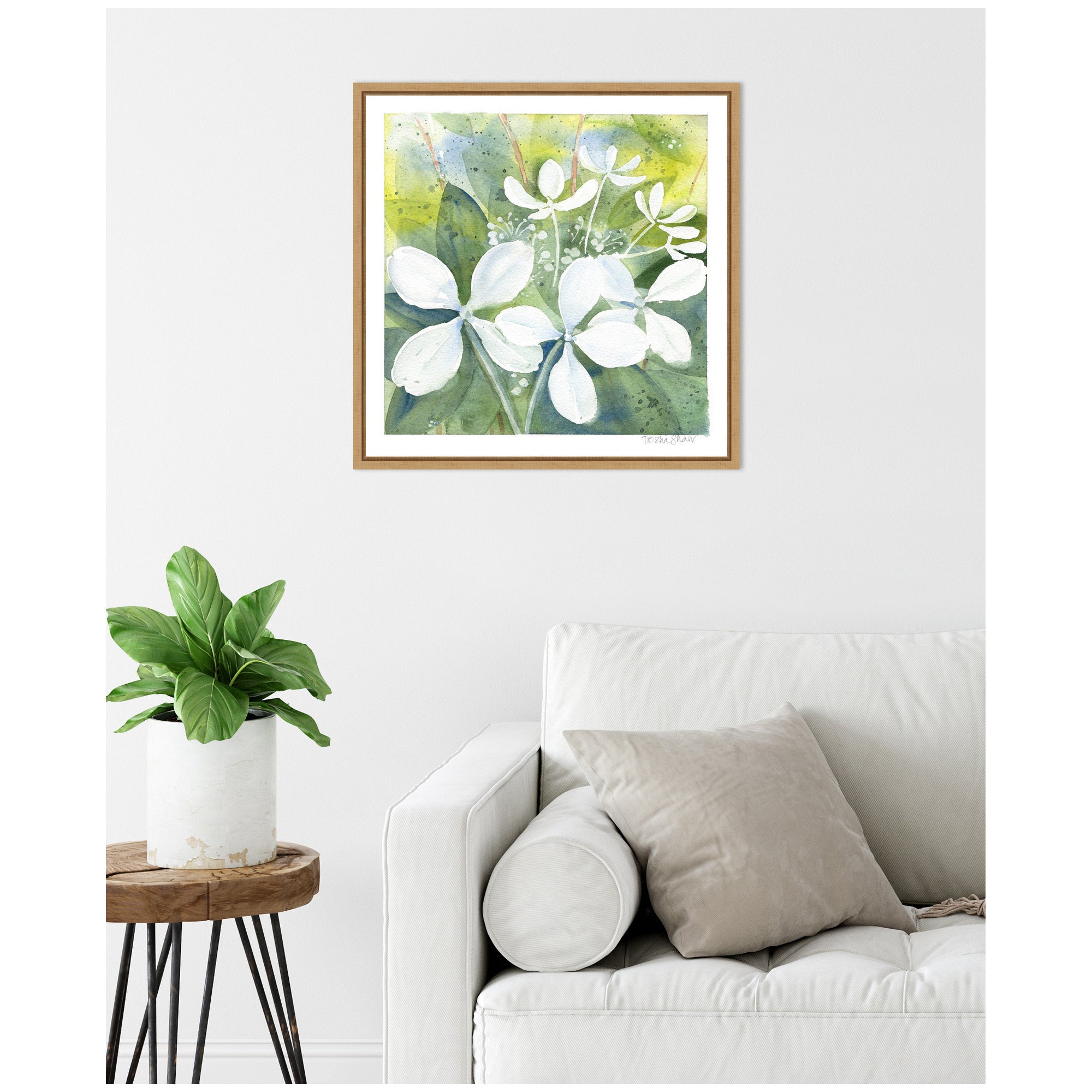 Sylvie White Phantom Hydrangea in Greens Framed Canvas by Patricia Shaw