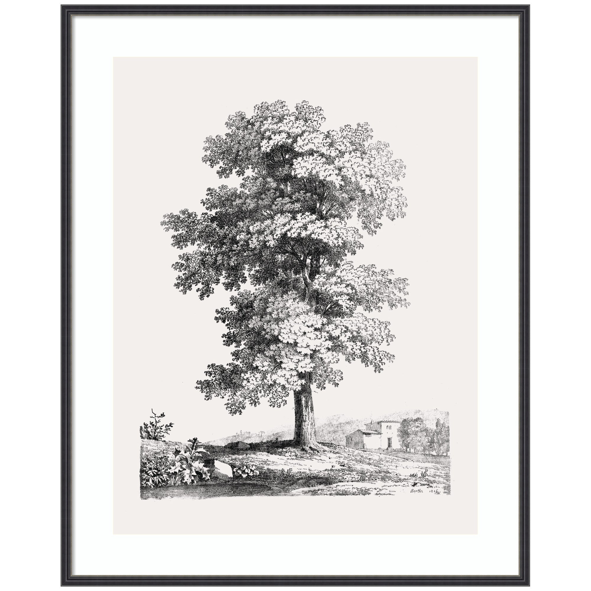 Framed Art Jean Victor Bertin Study of a Tree 1816 by The Art Institute of Chicago
