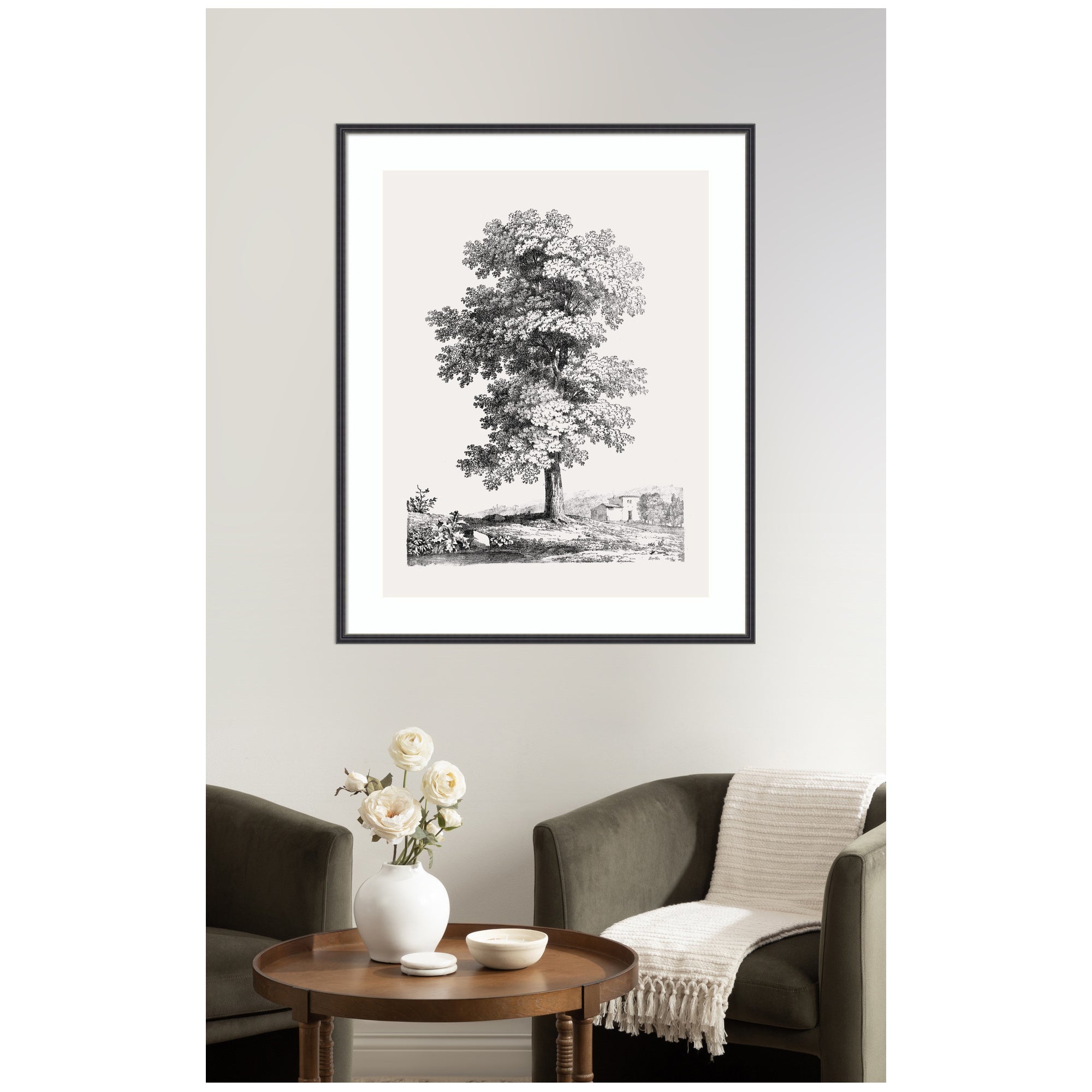 Framed Art Jean Victor Bertin Study of a Tree 1816 by The Art Institute of Chicago