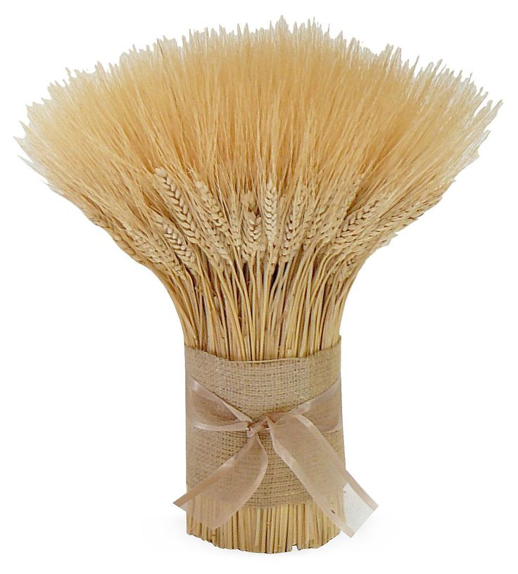 Blond Wheat Cone | 3LB Extra Large Bundle