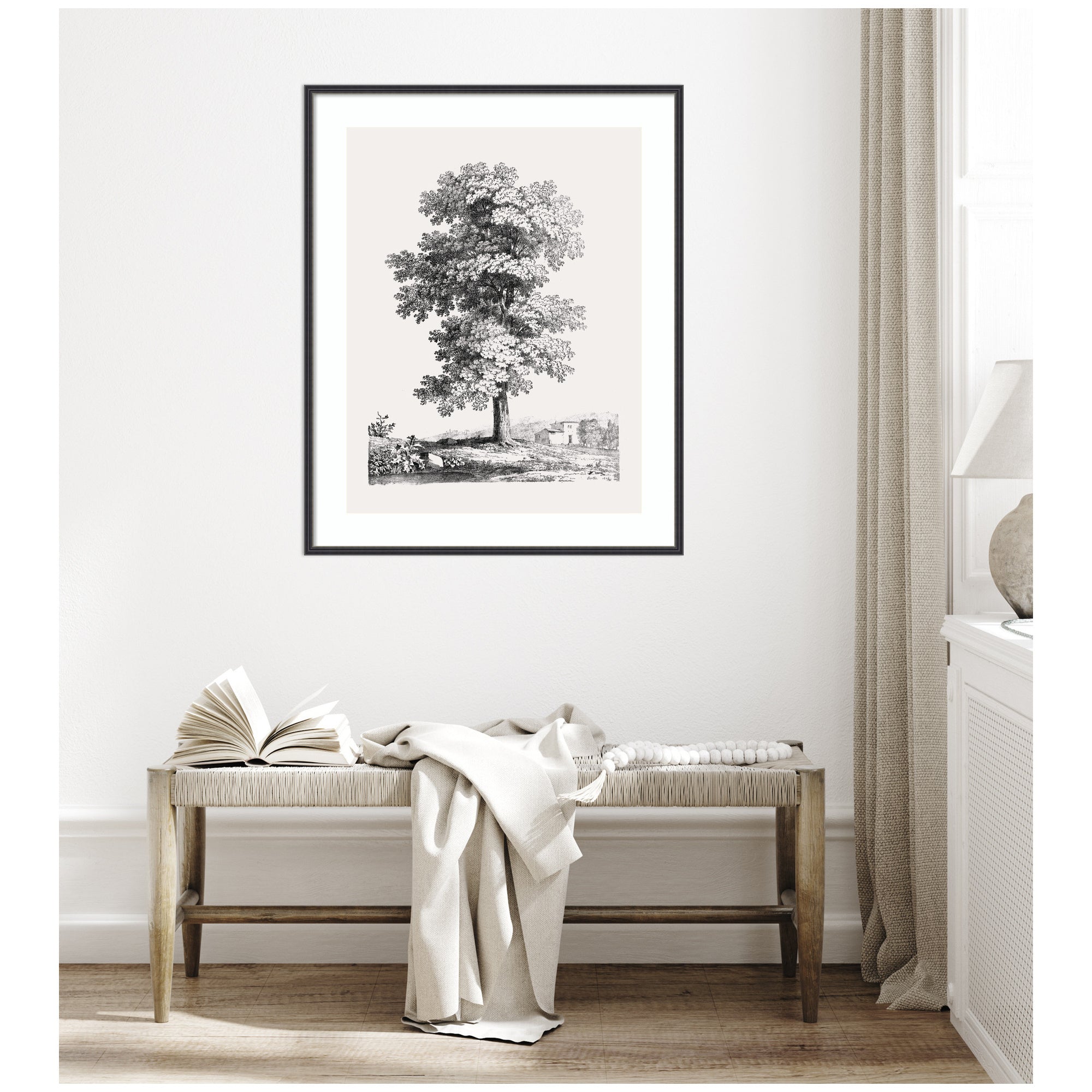 Framed Art Jean Victor Bertin Study of a Tree 1816 by The Art Institute of Chicago