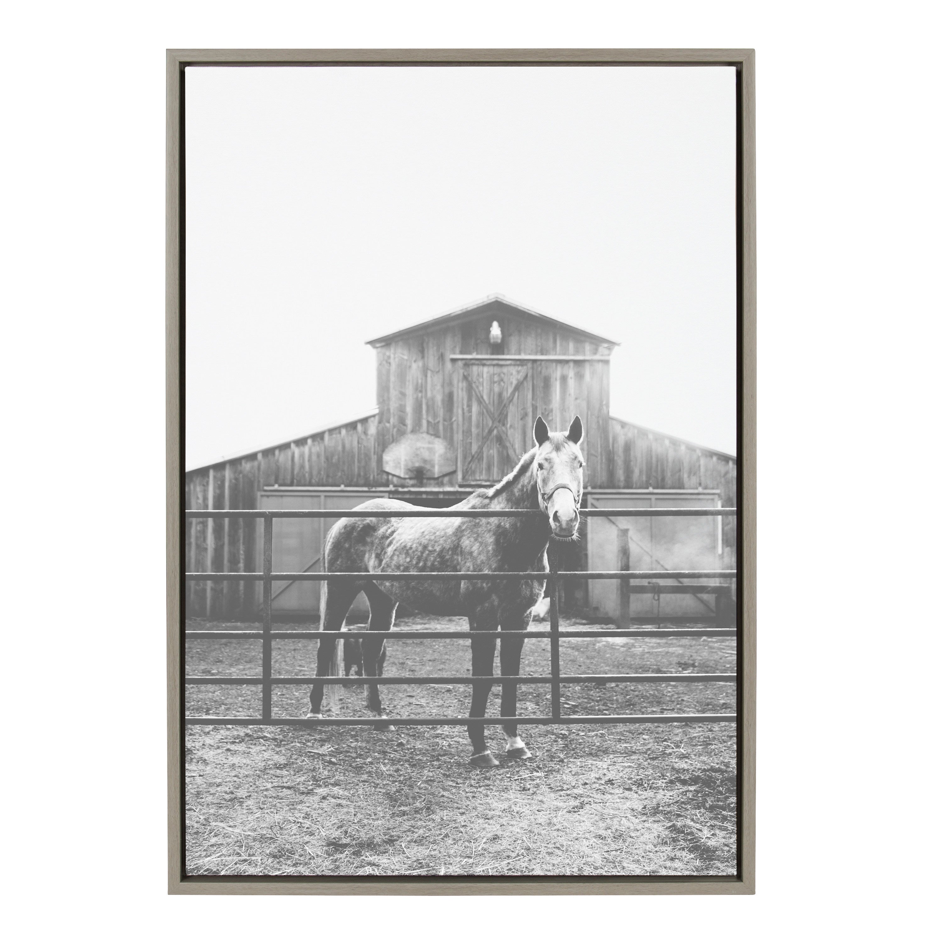 Sylvie Modern Farmhouse Horse Black and White Framed Canvas by Patricia Hasz