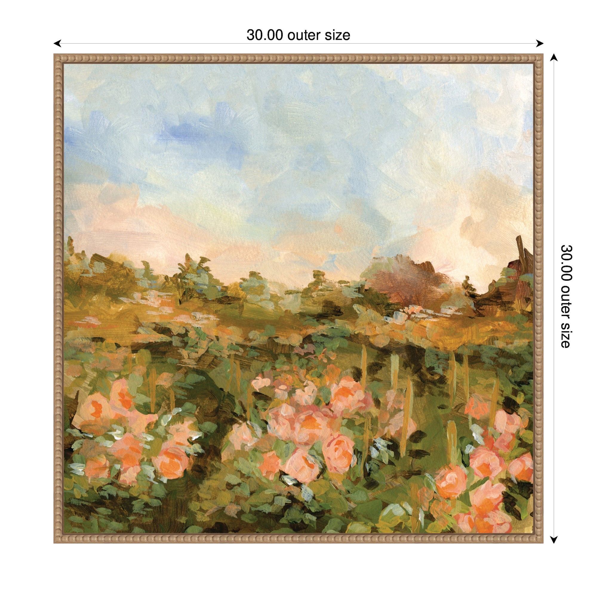 Rose Garden by Annie Quigley Framed Canvas Wall Art Print