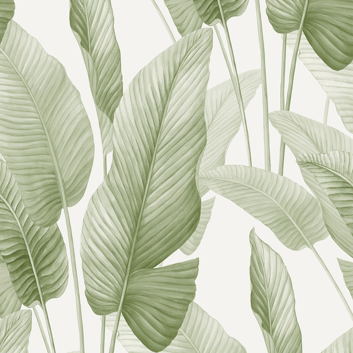 Bali Tropical Mantra Palm Leaf Tropical Unpasted Wallpaper