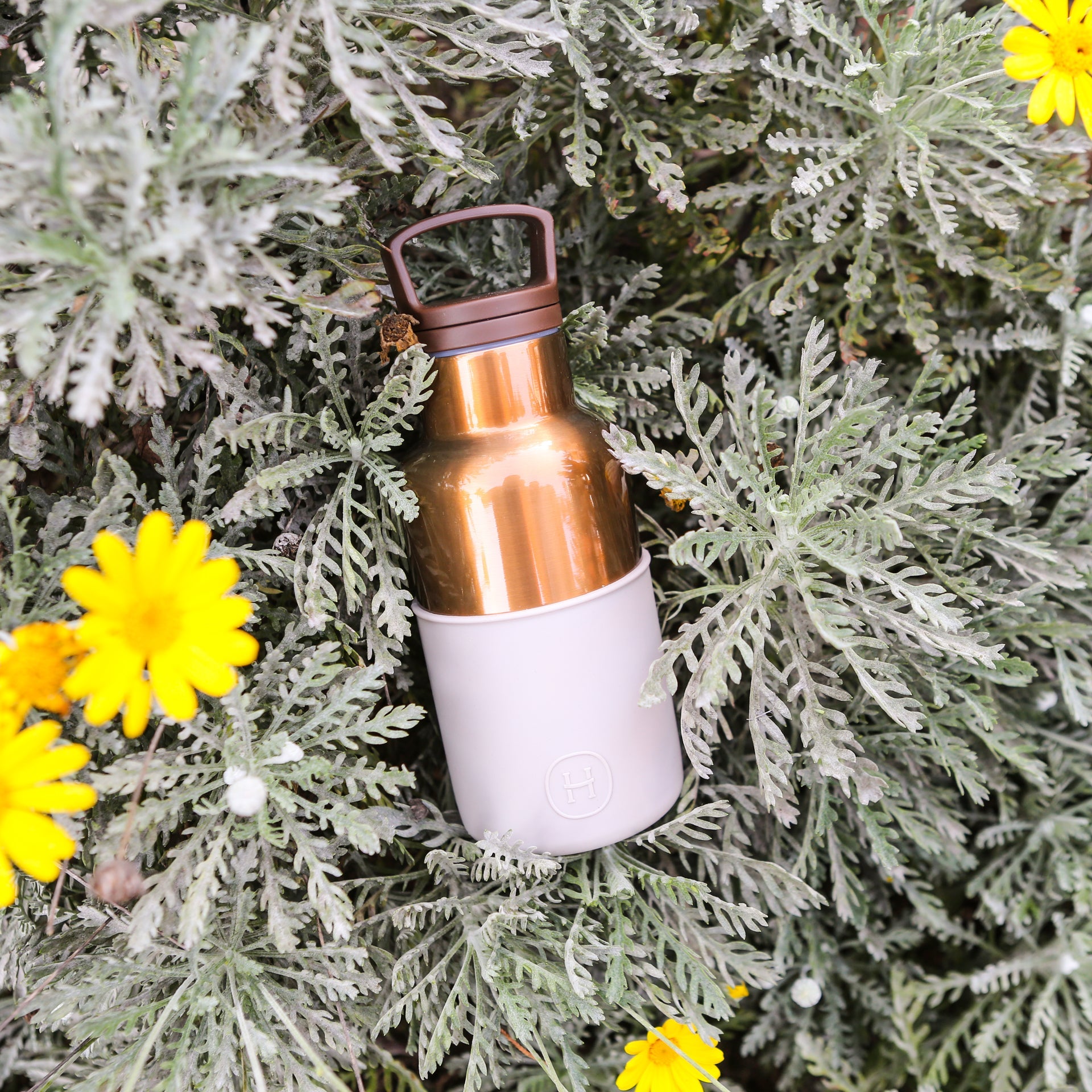 Bronze Gold-Eucalyptus 12 Oz