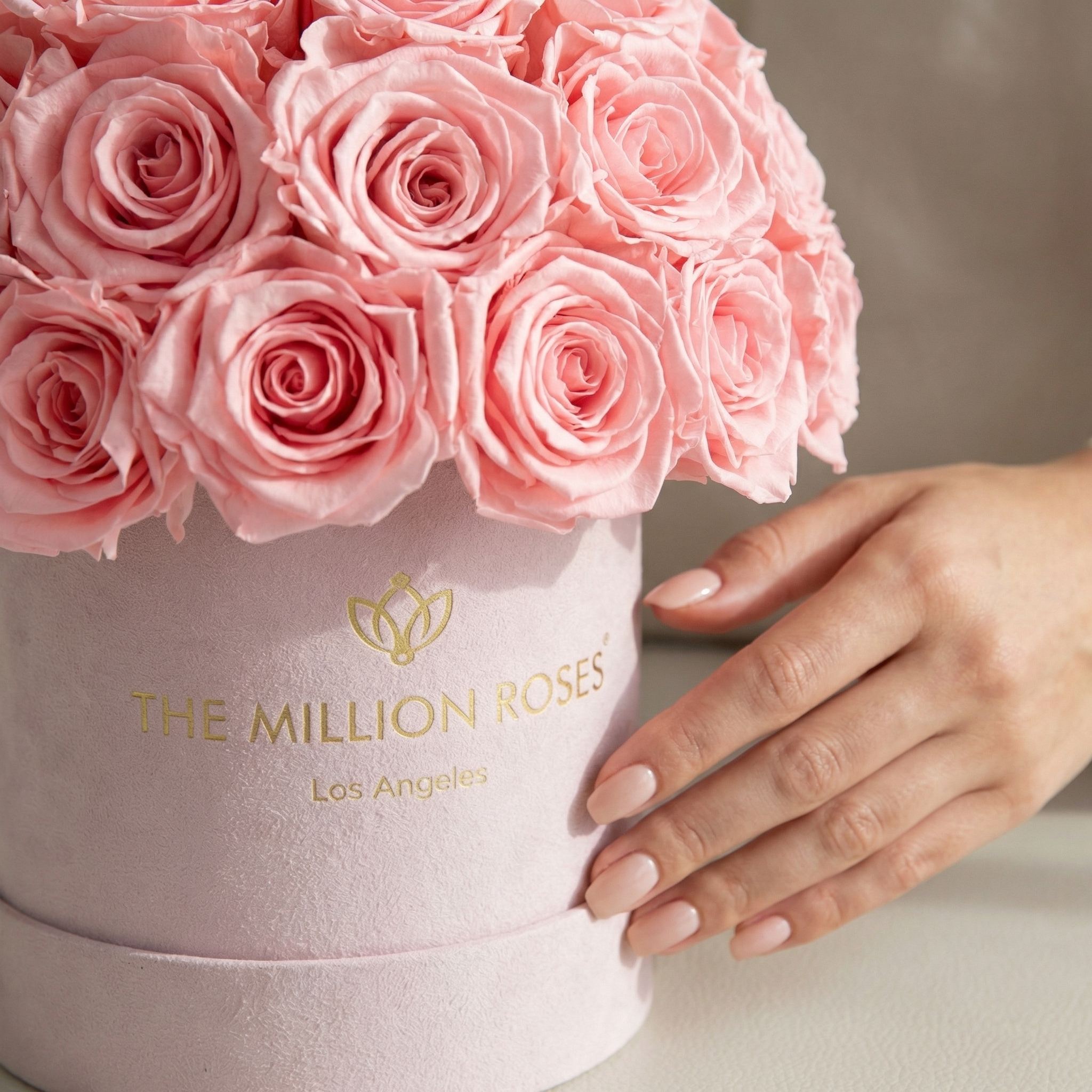 Essence Light Pink Suede Superdome Box | Light Pink Roses
