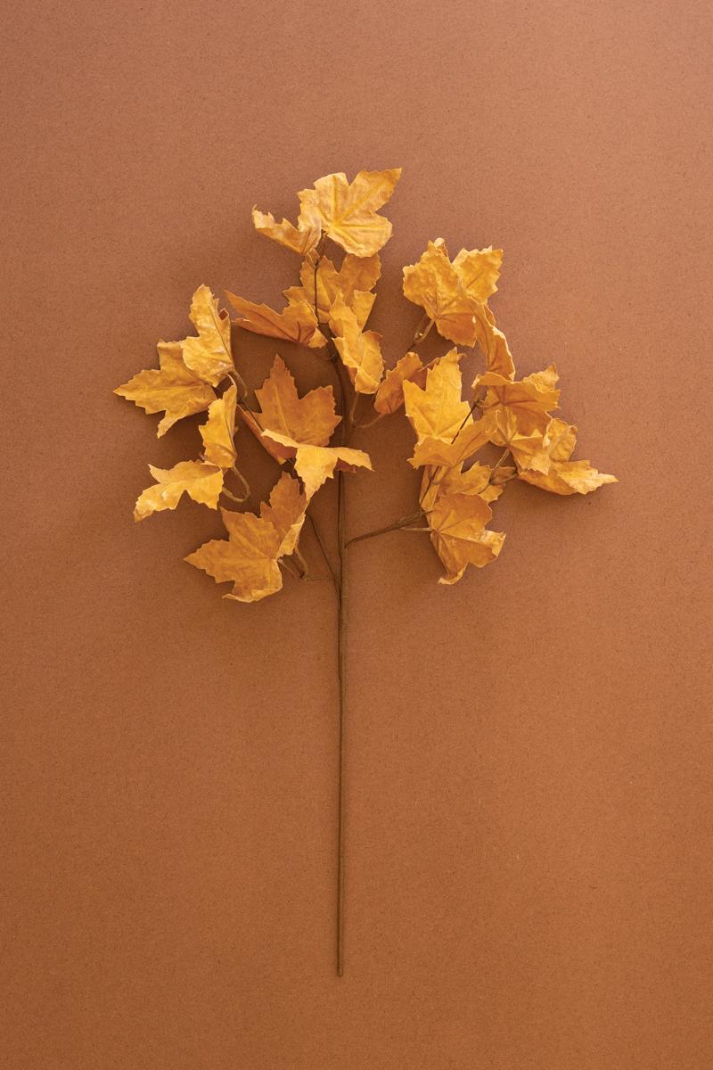 Yellow Botanica Stem