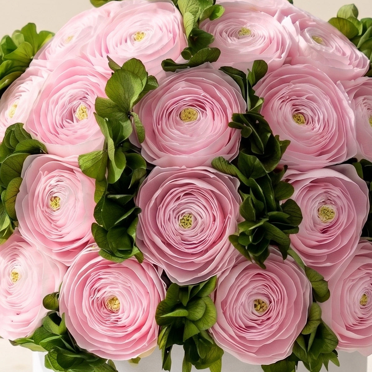 Classic White Box | Light Pink Persian Buttercups & Green Hydrangeas