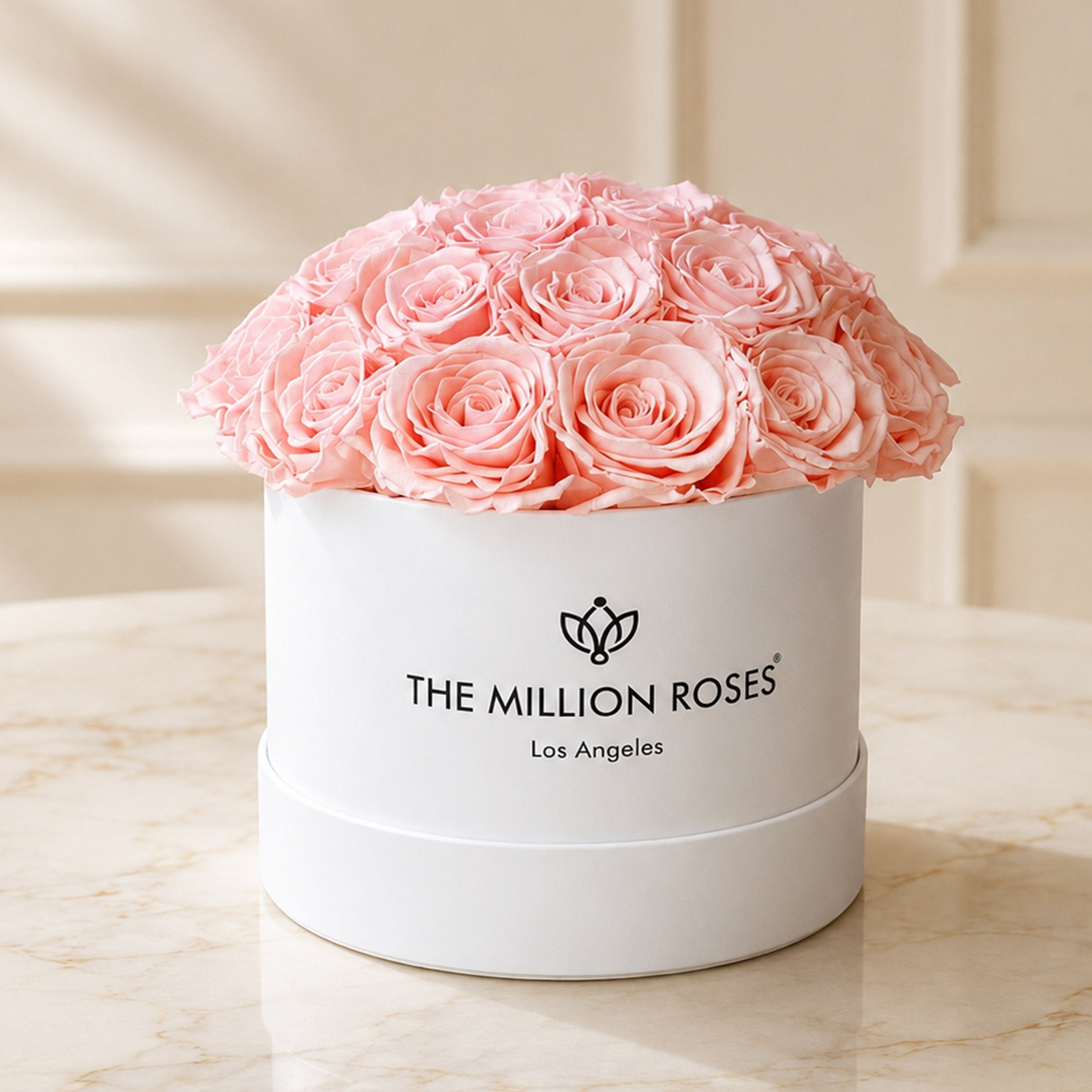 Classic White Dome Box | Light Pink Roses