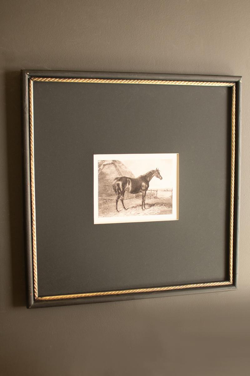 Black and White Horse Prints under Glass - Set of 2