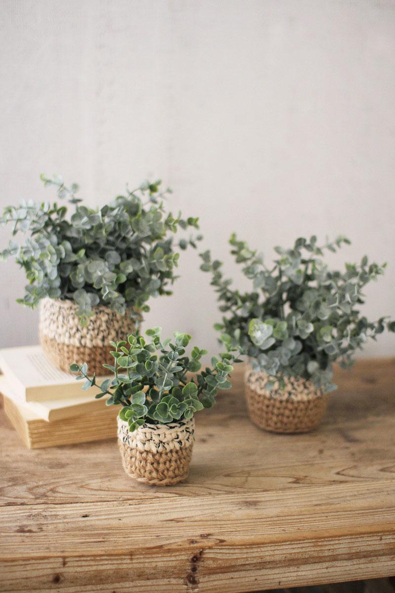 Artificial Eucalyptus Plants in Woven Pots - Set of 3