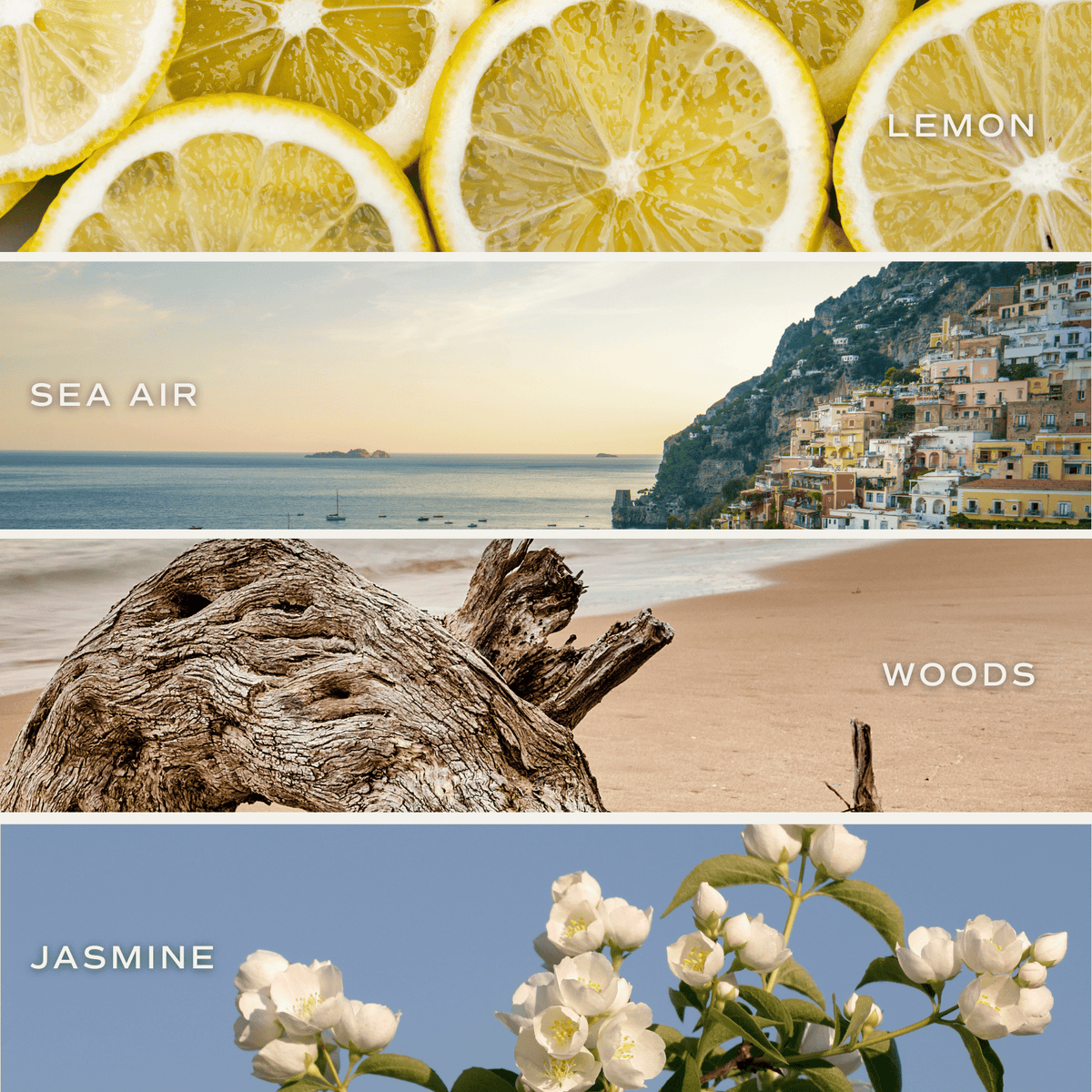 Coastal Lemon Soy Candle - Blue Tinted Glass Jar - 12 oz