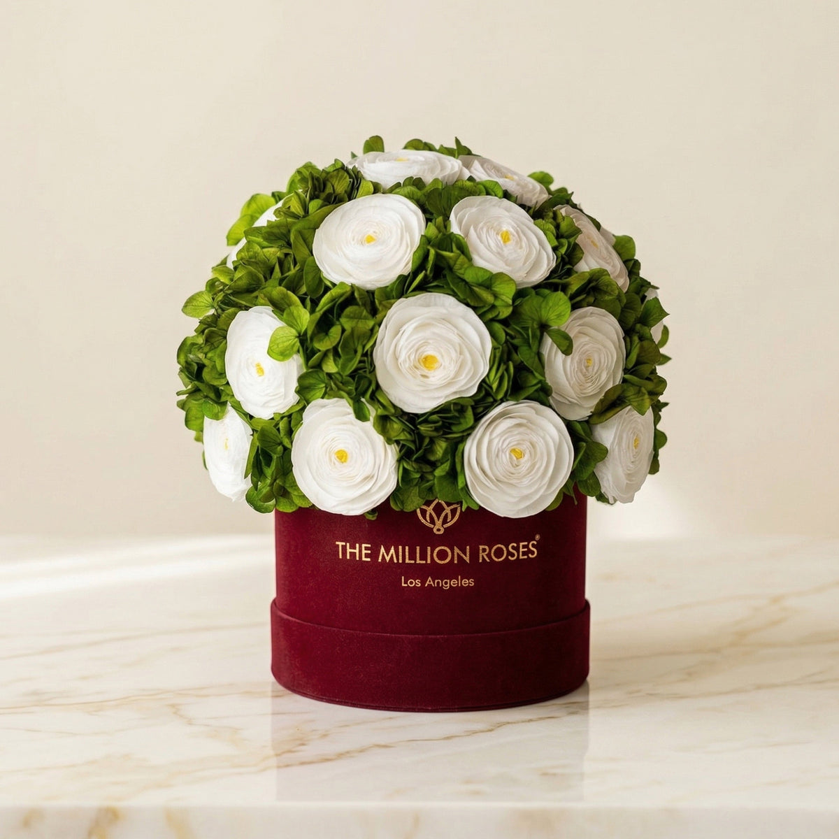 Classic Bordeaux Suede Box | White Persian Buttercups & Green Hydrangeas
