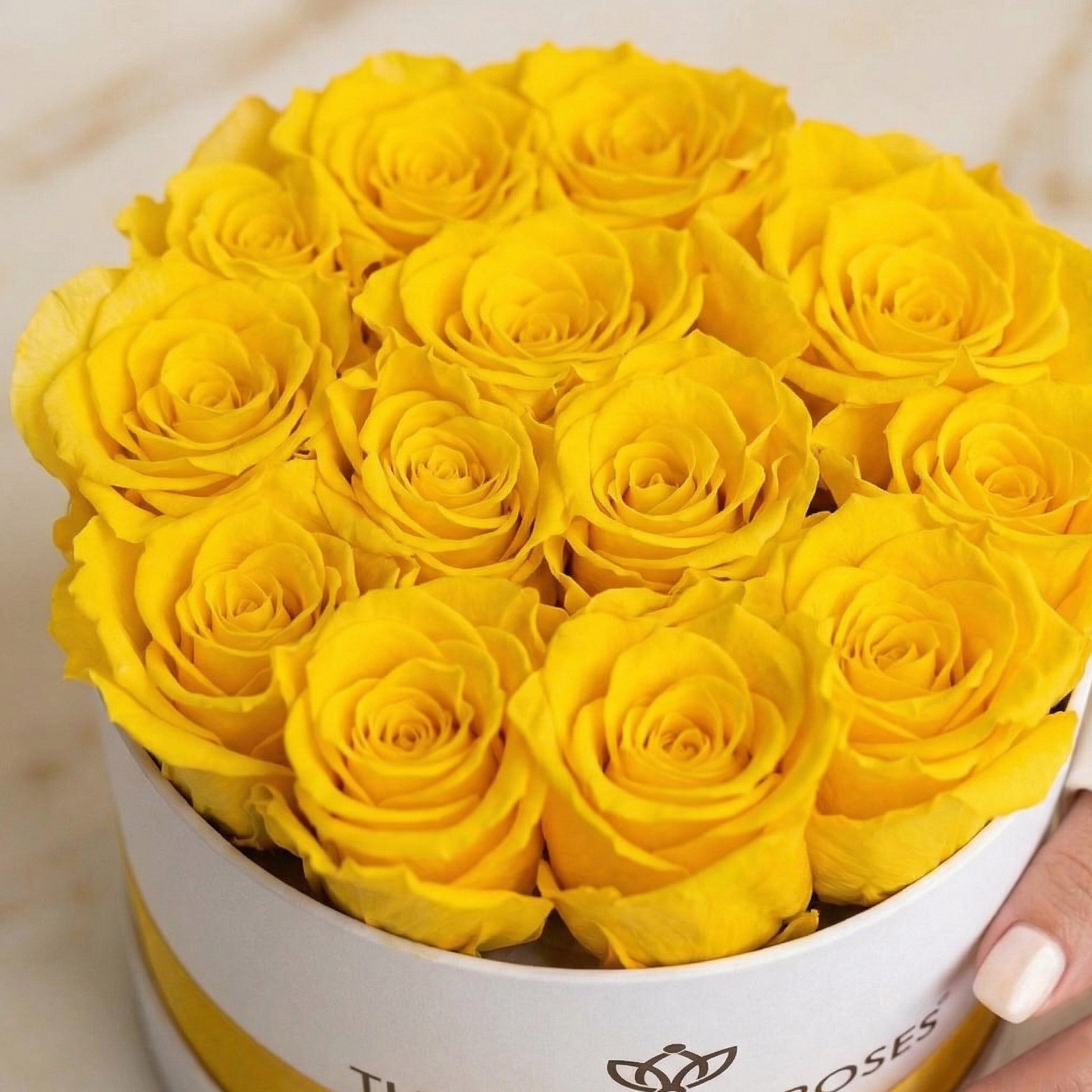 Classic White Box | Yellow Roses