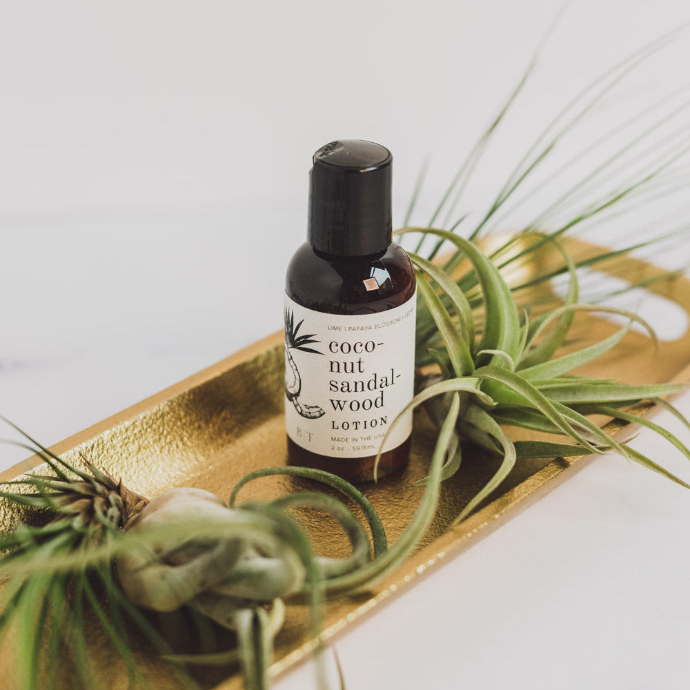 Coconut Sandalwood Body Lotion