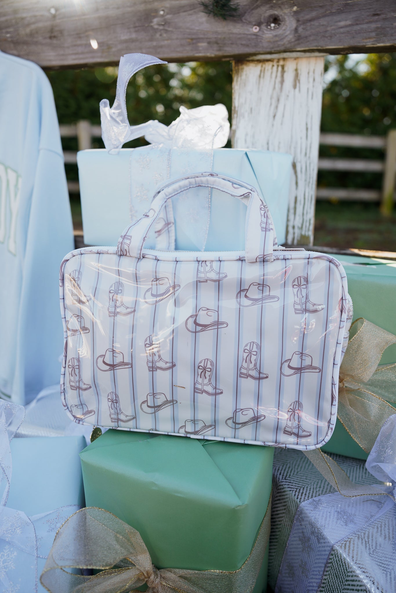 Western Blues Striped - Clear Coat Toiletry Case