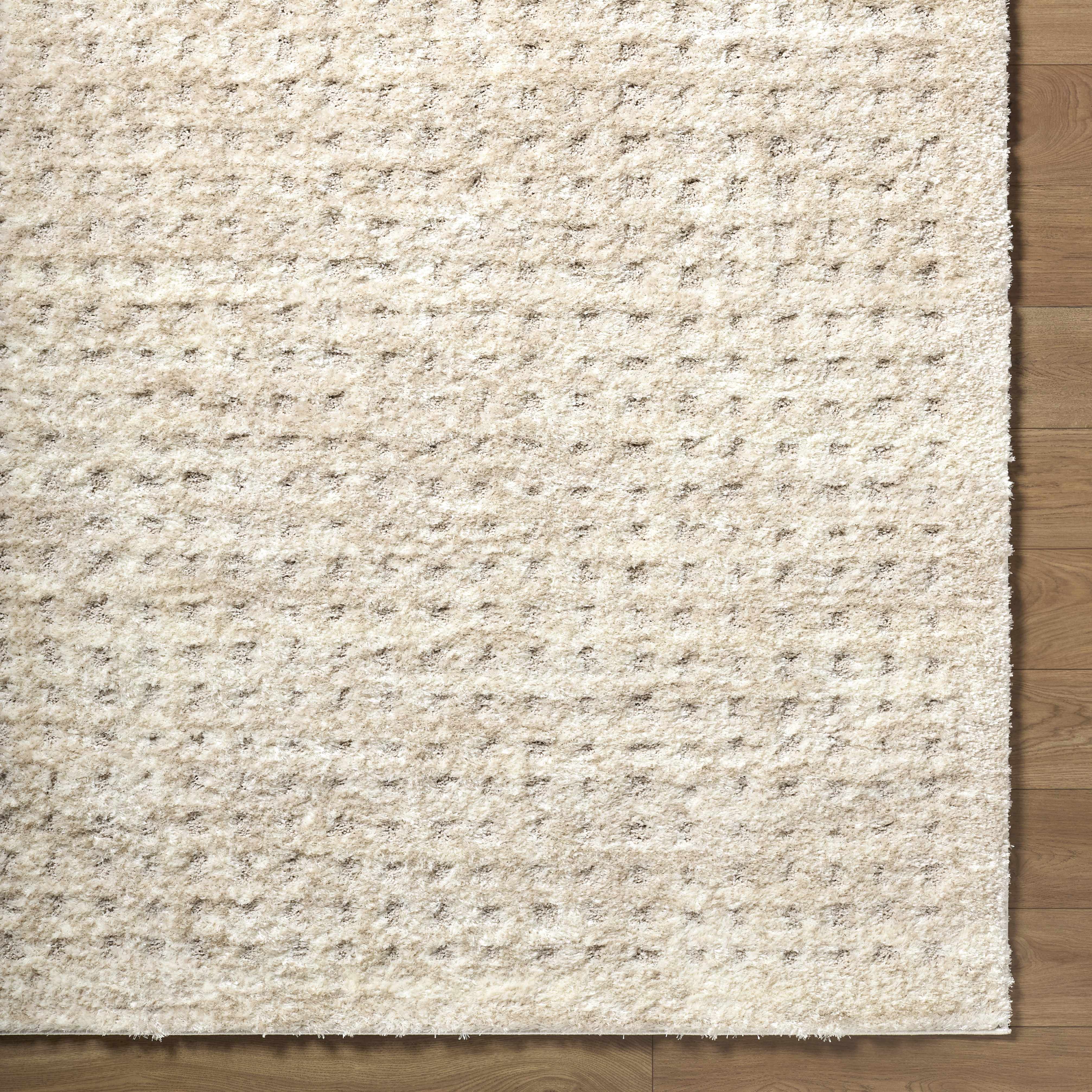 Armand Luxe Shag Rug