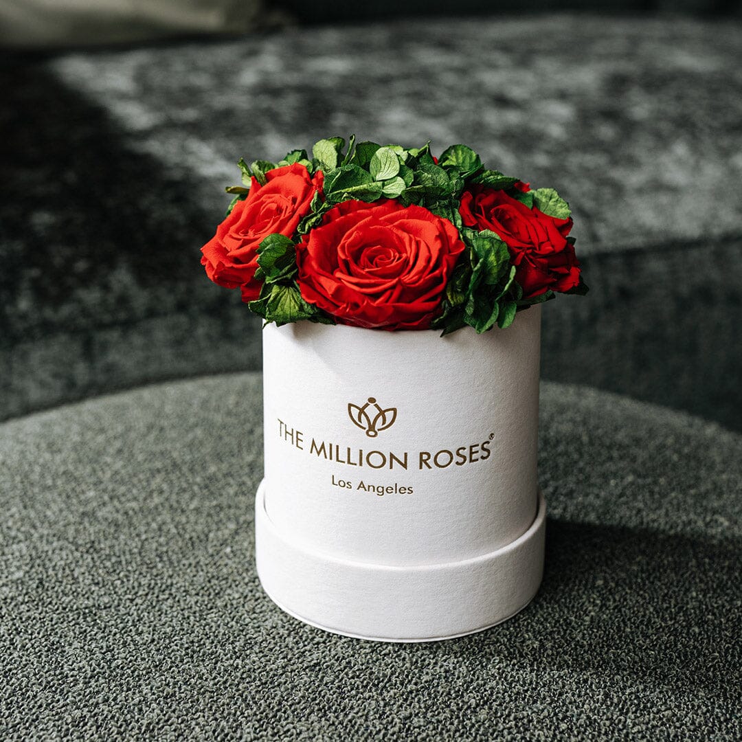Essence Beige Suede Garden Box | Red Roses