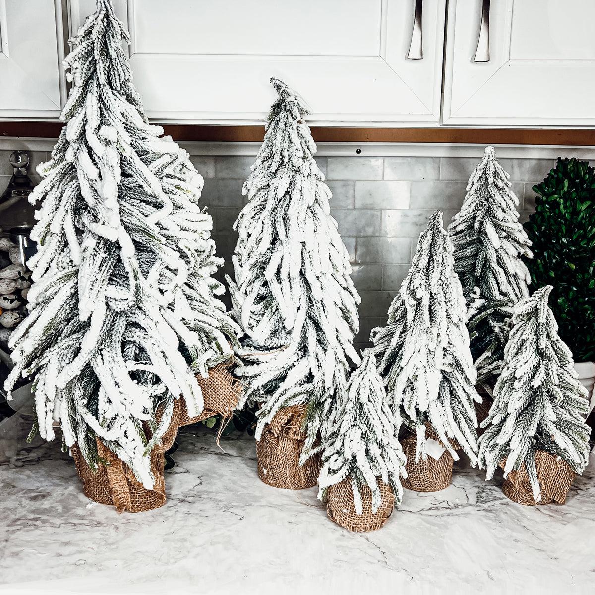 Snow Covered Trees OG